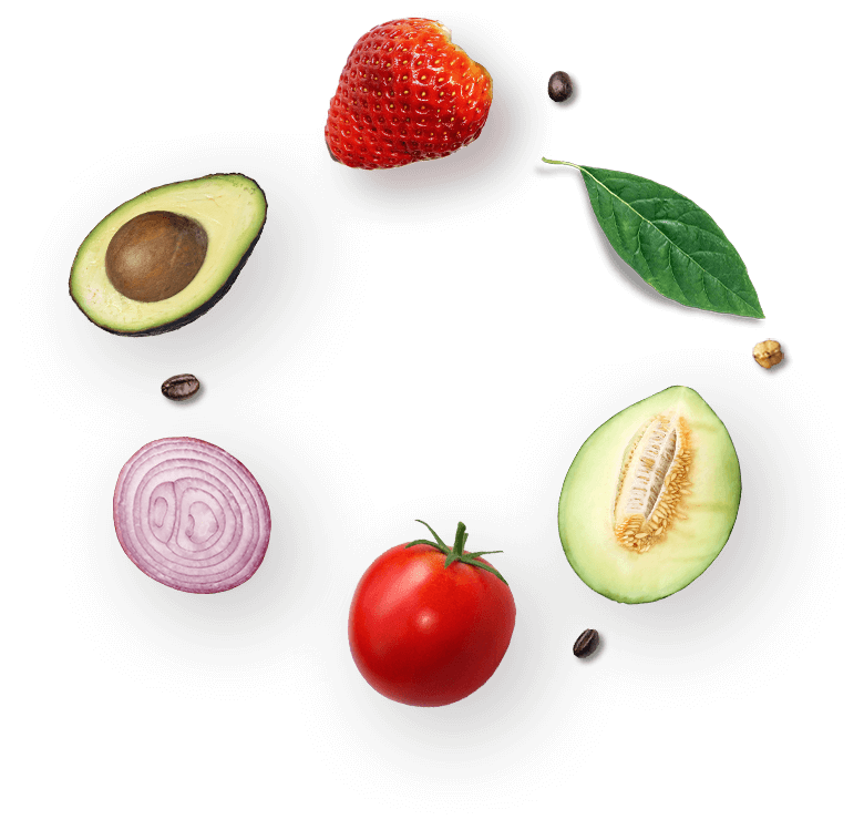 Wellness Plan